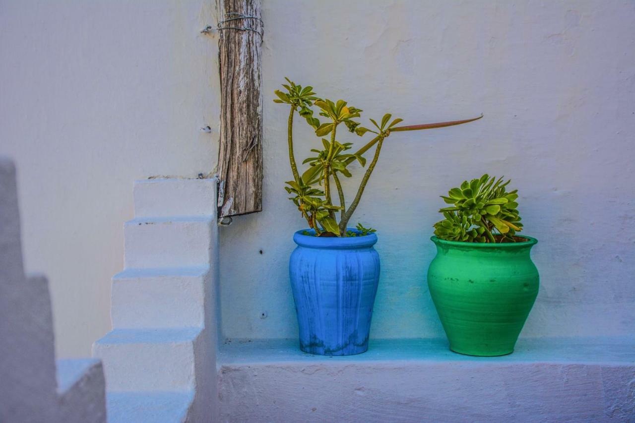 Riad Dari Tétouan Ngoại thất bức ảnh